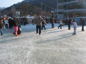 henkschaatsen.jpg