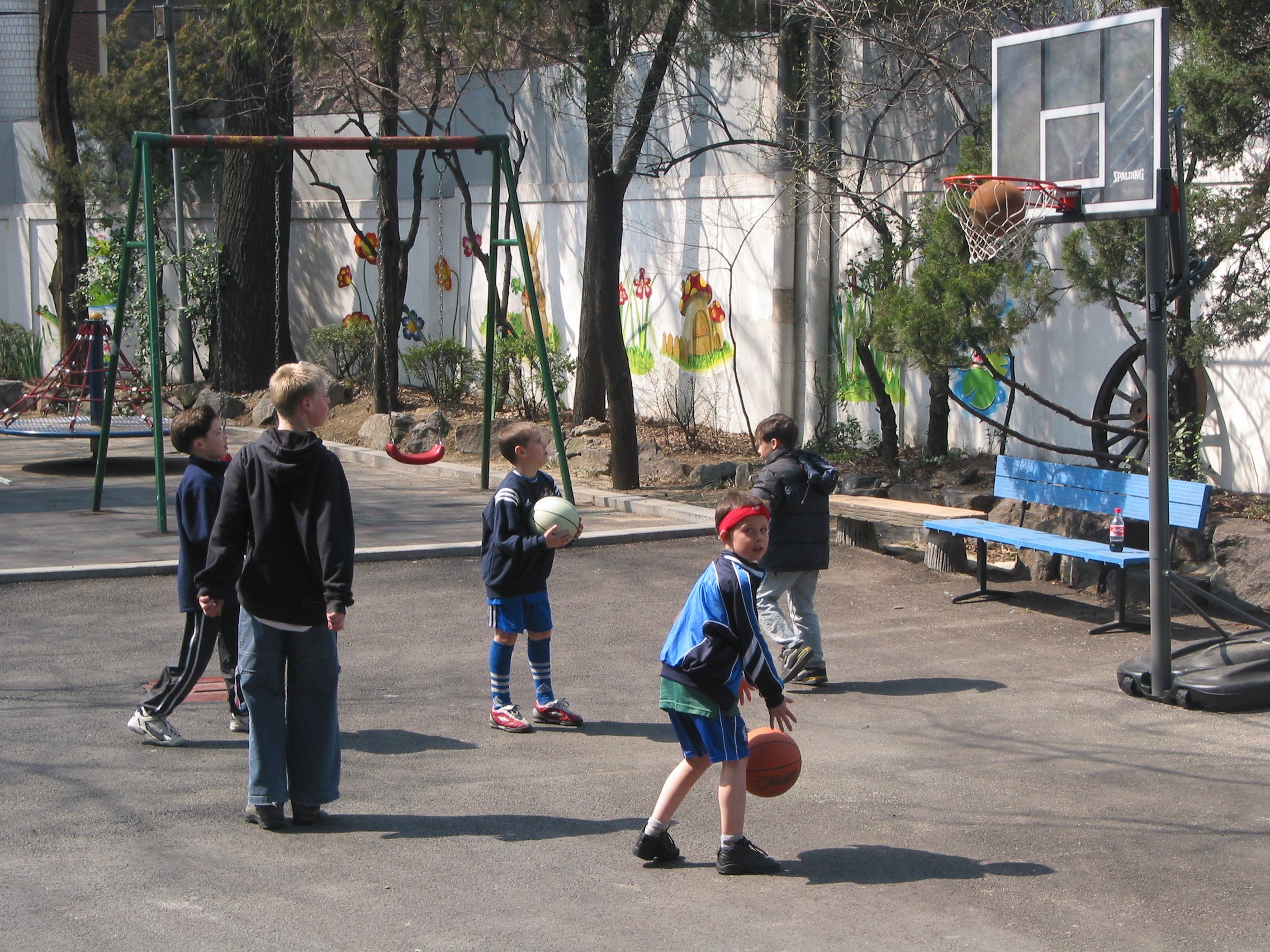 basketballen.jpg