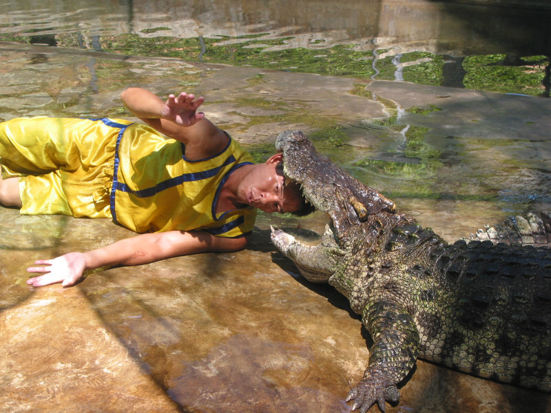 crocodilefarm.jpg